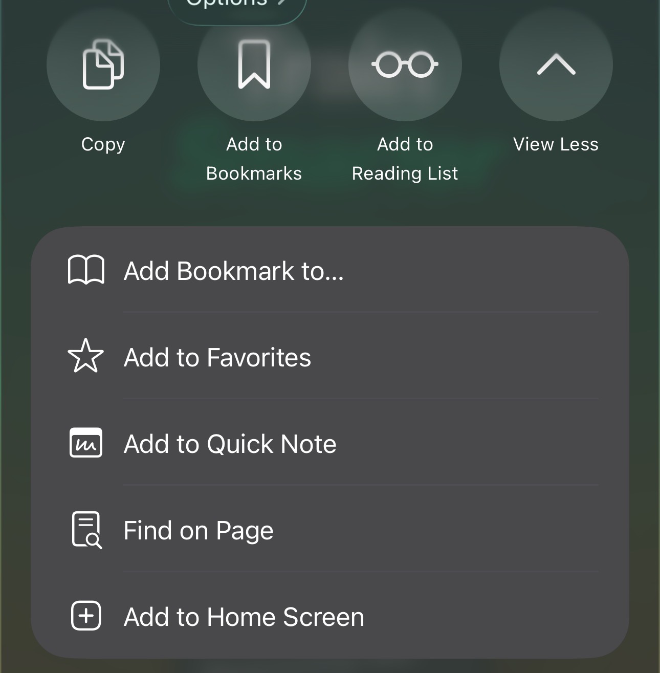 Step 3: Choose “Add to Home Screen”